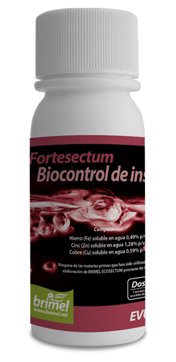 botella fortesectum brimel